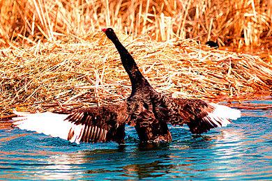 高速机甲动作游戏《光轮无限》科隆亚洲新预告