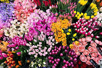 史克威尔公布财报：FF14高歌猛进 手游表现低迷