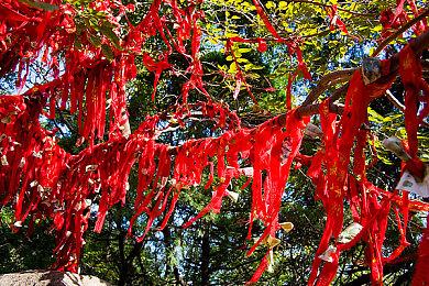 消防主题策略游戏《生死悍将》 7月27日登录Steam